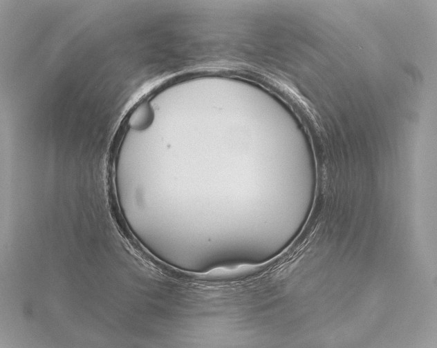 X0000115821412200912041618