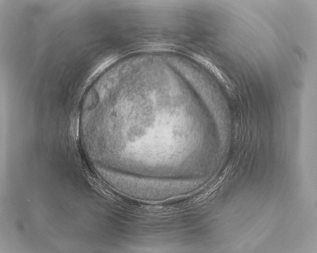 X0000115821413200912041618