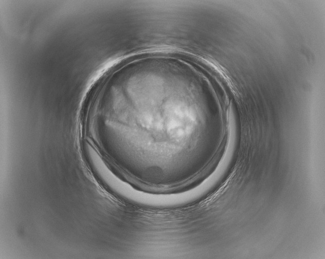 X0000115821414200912041618