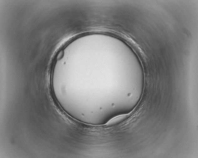 X0000115821416200912041618