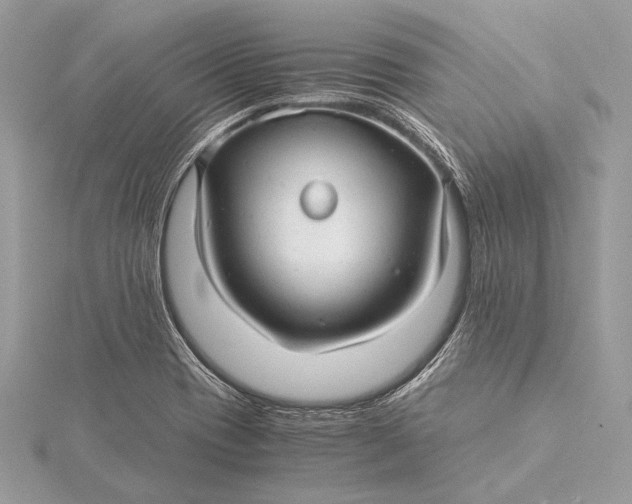 X0000115821417200912041618