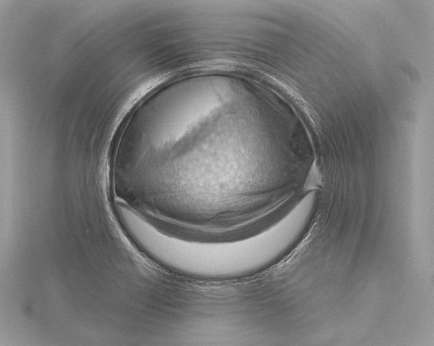 X0000115821418200912041618