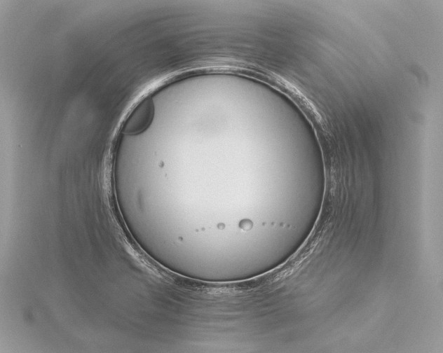 X0000115821421200912041618