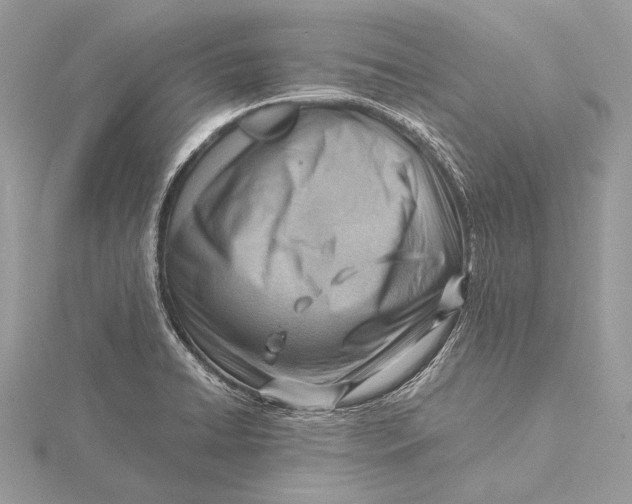 X0000115821422200912041618