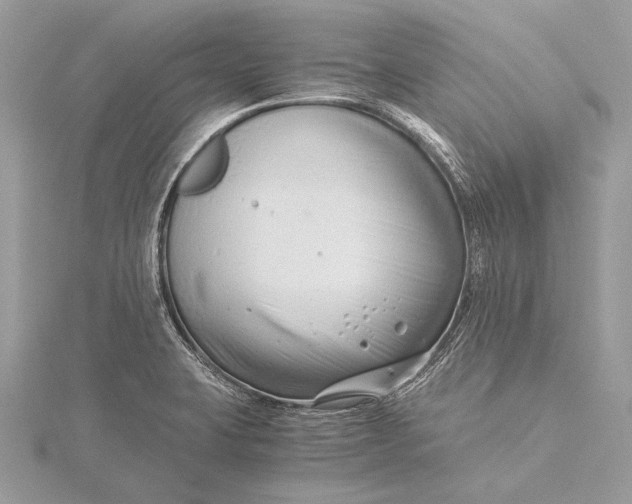 X0000115821423200912041618