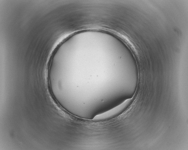 X0000115821424200912041618