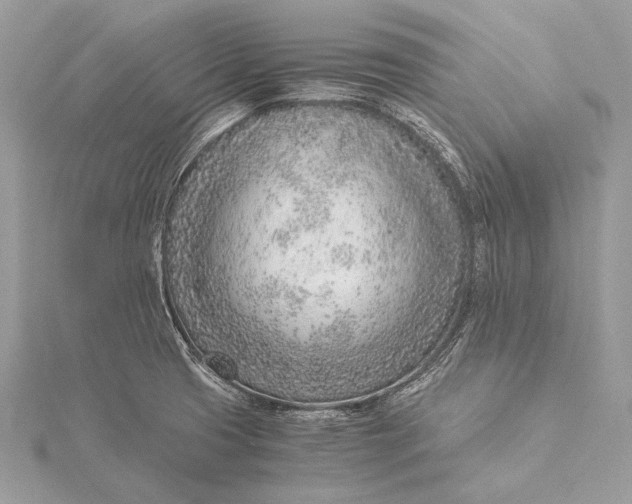 X0000115821425200912041618