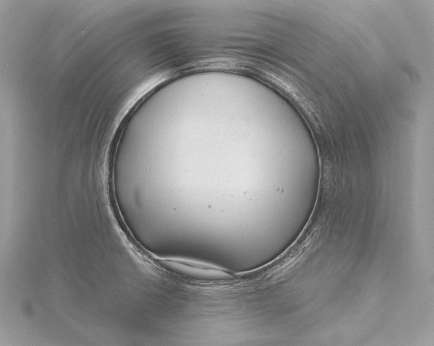 X0000115821426200912041618