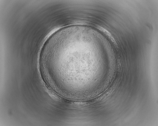 X0000115821427200912041618