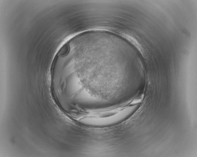 X0000115821428200912041618