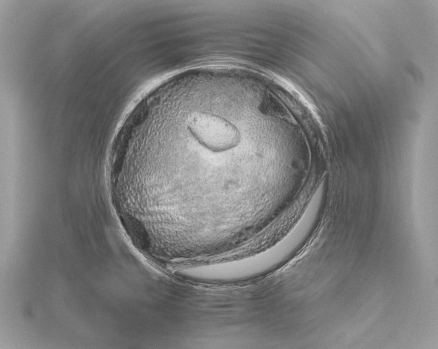 X0000115821429200912041618