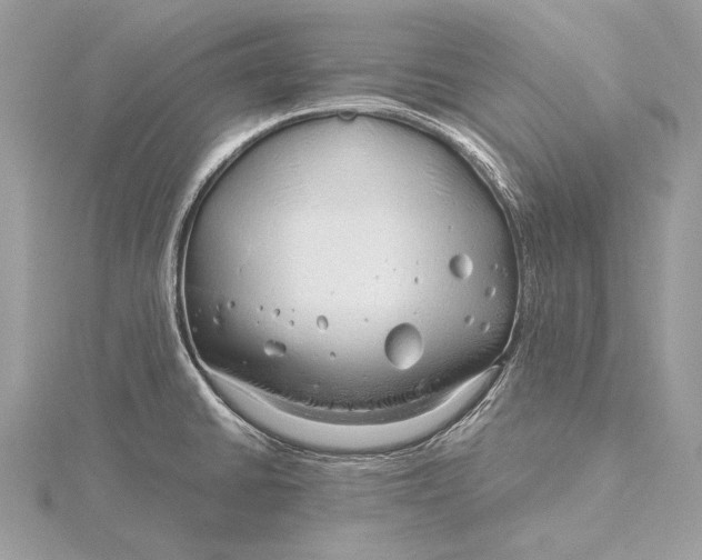 X0000115821430200912041618