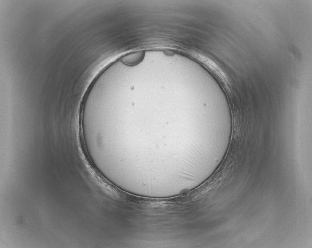 X0000115821431200912041618