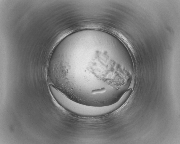 X0000115821433200912041618