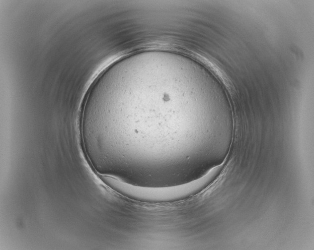 X0000115821434200912041618