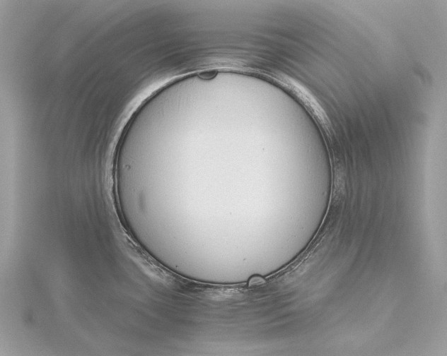 X0000115821435200912041618