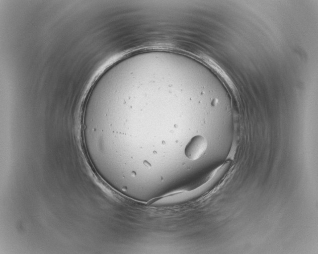 X0000115821437200912041618