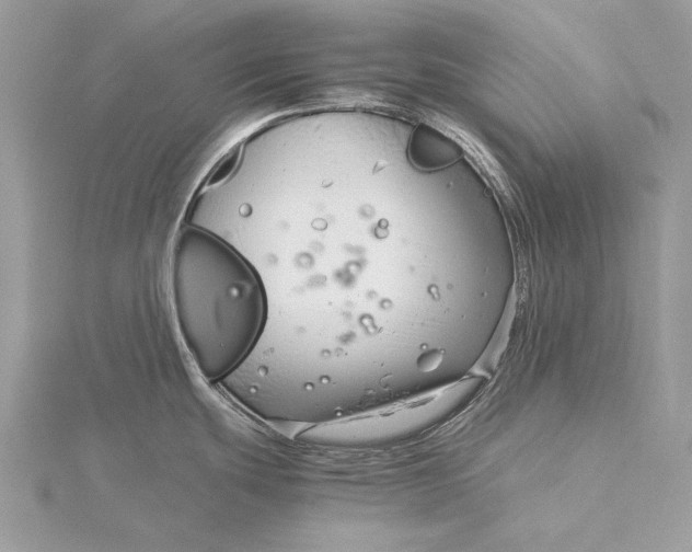 X0000115821439200912041618