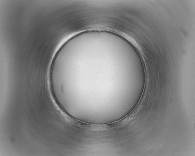 X0000115821440200912041618