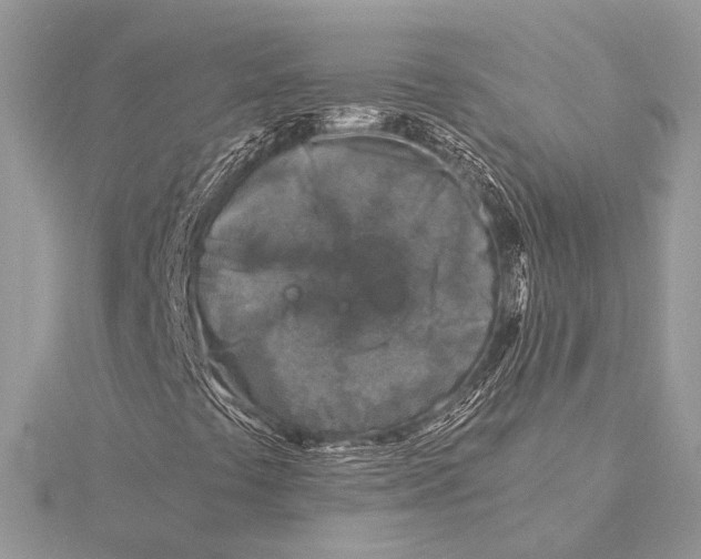 X0000115821441200912041618