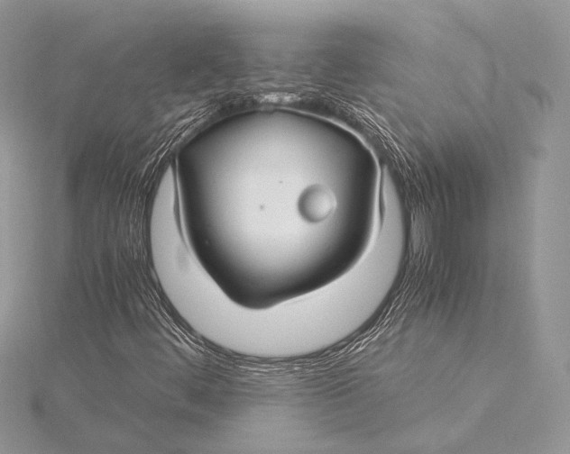 X0000115821444200912041618