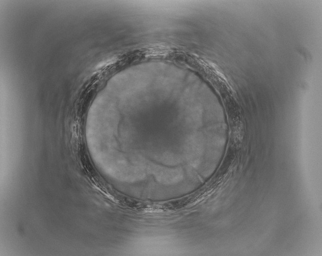 X0000115821445200912041618