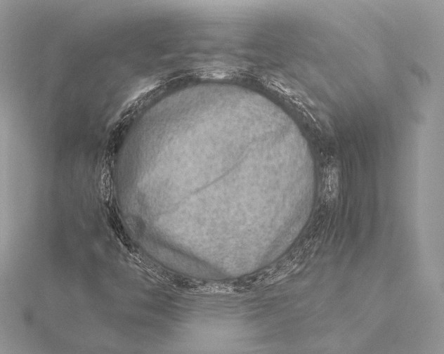 X0000115821446200912041618