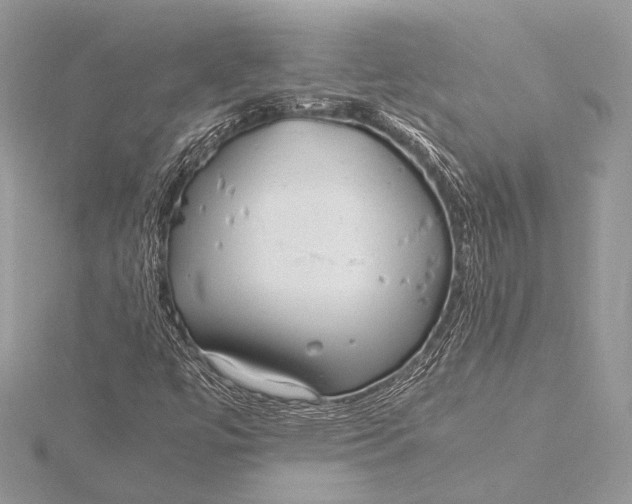 X0000115821447200912041618