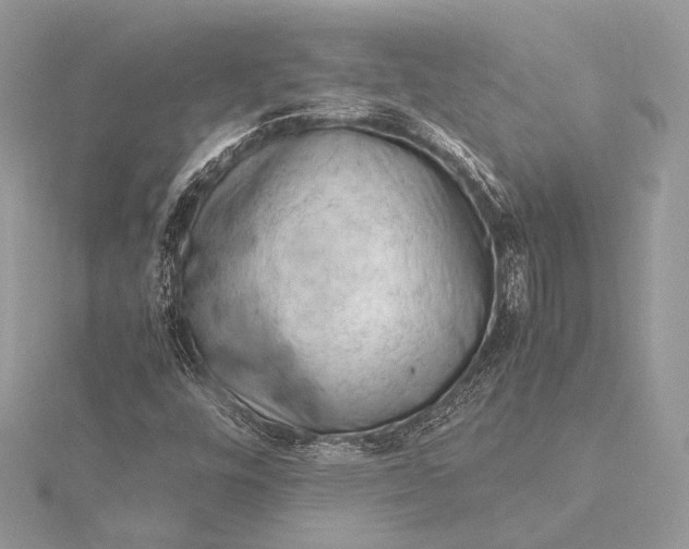 X0000115821448200912041617