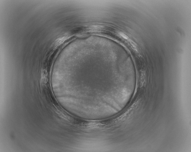 X0000115821449200912041617