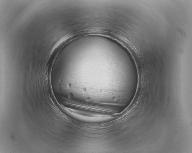 X0000115821450200912041617