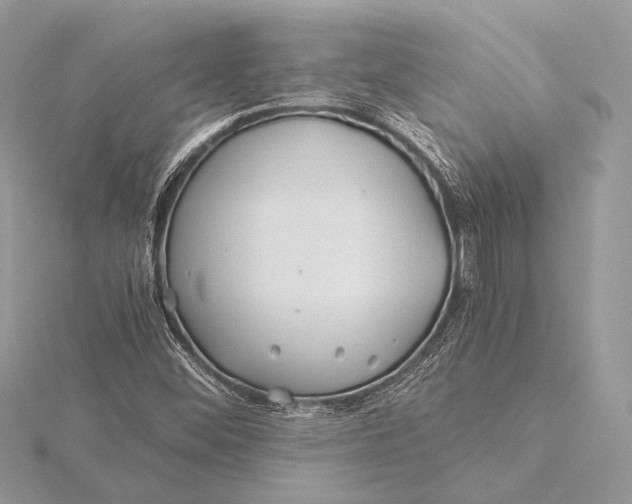 X0000115821452200912041617