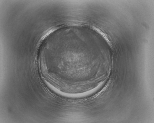 X0000115821453200912041617