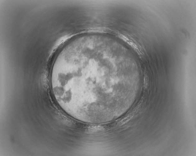 X0000115821454200912041617