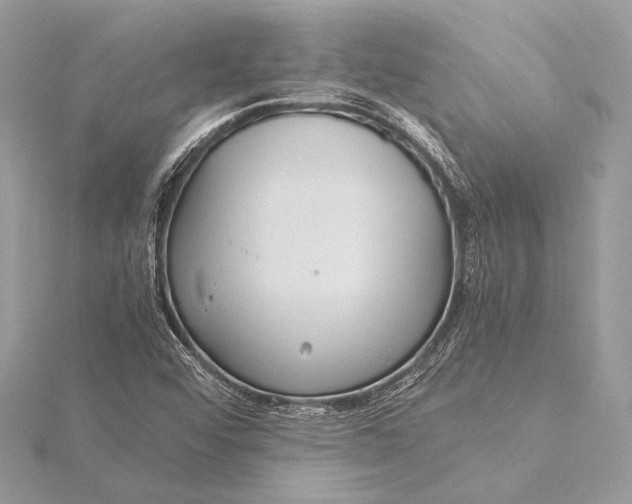 X0000115821456200912041617