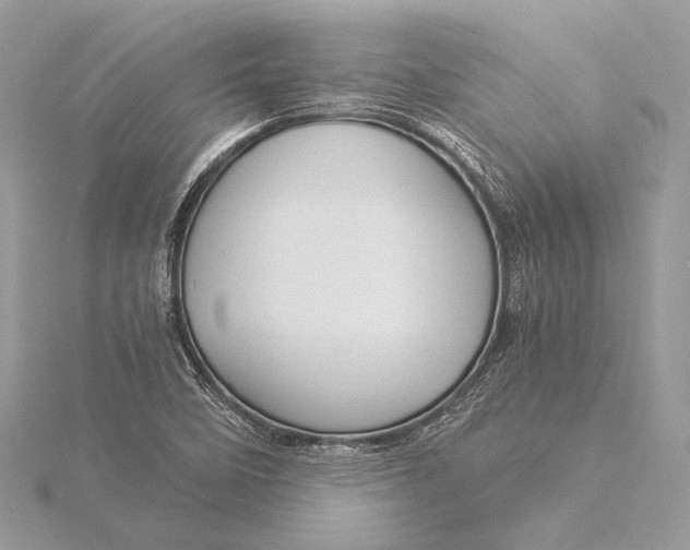 X0000115821458200912041617