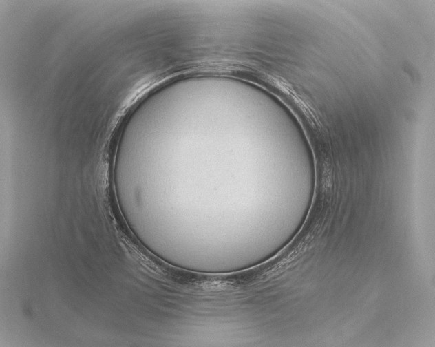 X0000115821459200912041617