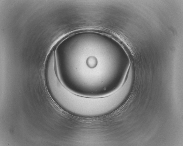 X0000115821460200912041617