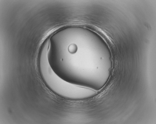 X0000115821461200912041617