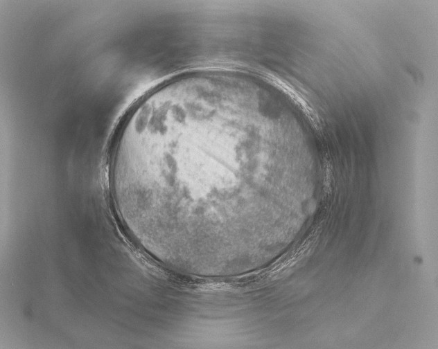 X0000115821462200912041617