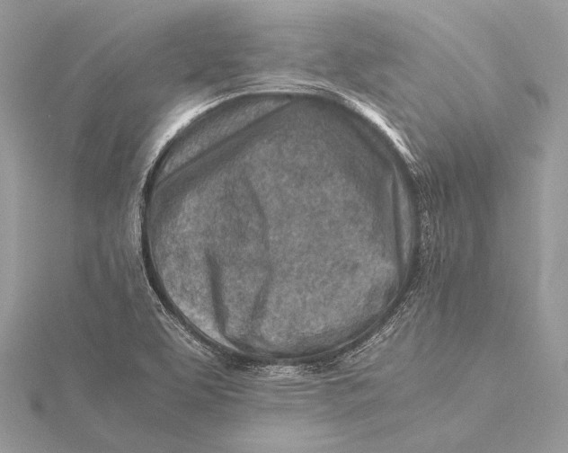 X0000115821463200912041617