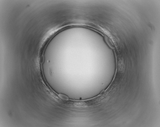 X0000115821464200912041617