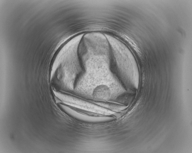 X0000115821465200912041617