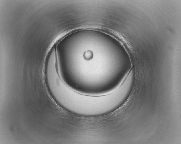 X0000115821469200912041617