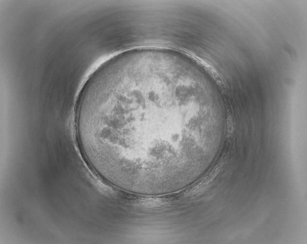 X0000115821470200912041617