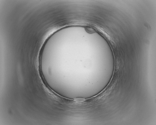 X0000115821471200912041617