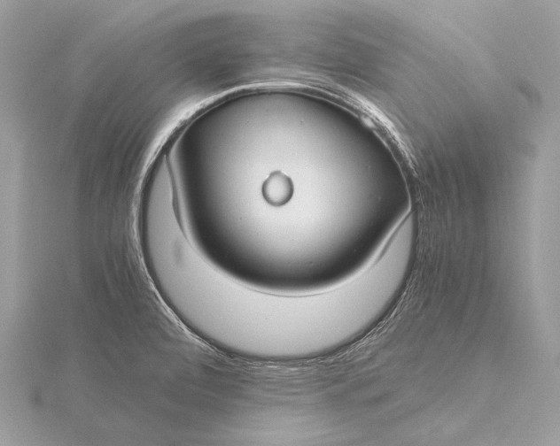 X0000115821472200912041617