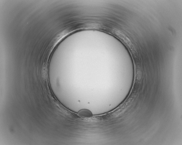 X0000115821473200912041617