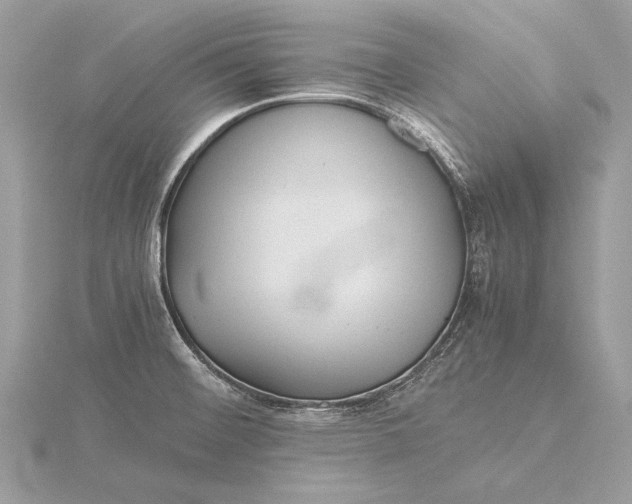 X0000115821476200912041617