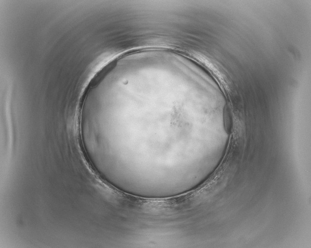 X0000115821477200912041617